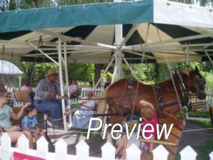 Blueberry Festival at Burnside Plantation