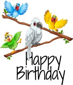 (Gayle’s Portfolio)